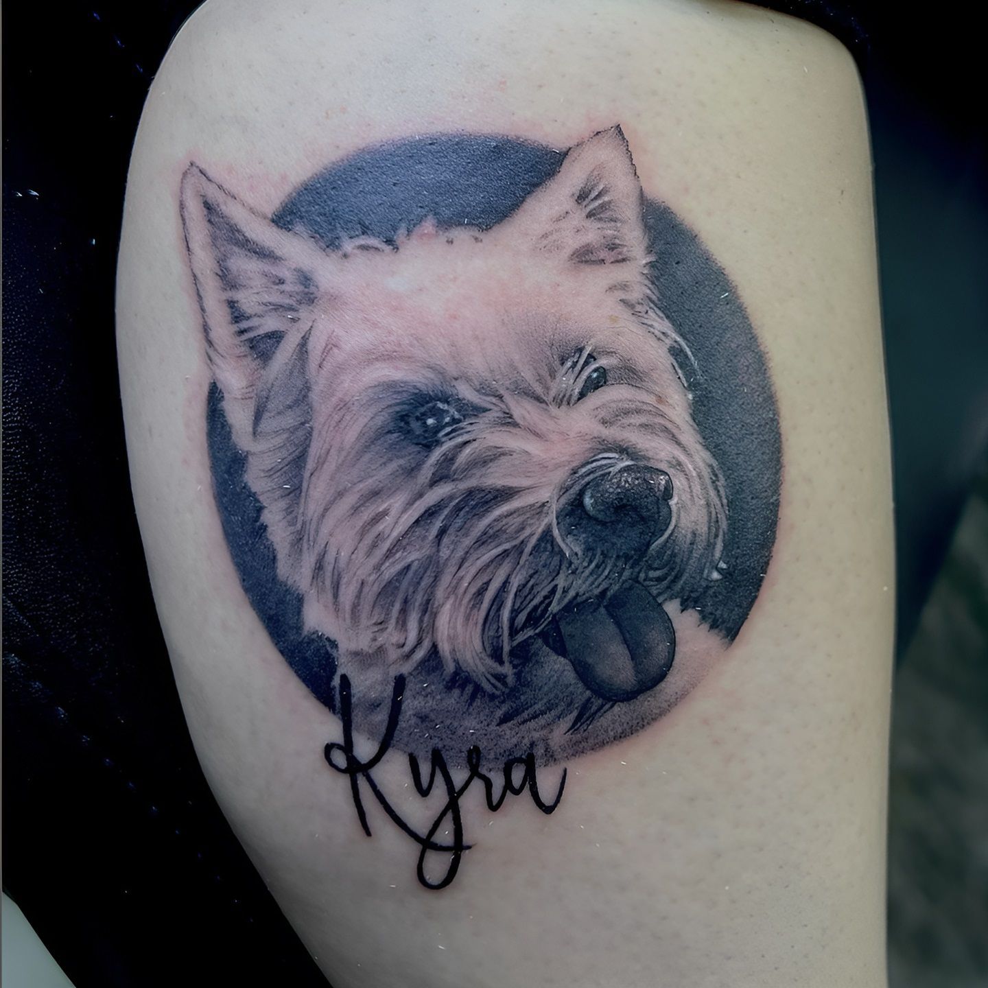 Tatuaje realista de un yorkshire realizado por Aitor Murga en Ink for All