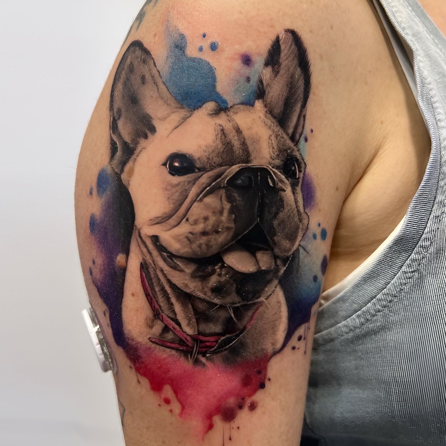 Tatuaje realista en color de un bulldog realizado por Aitor Murga en Ink for All